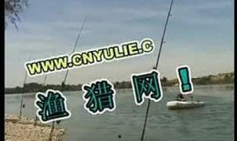 钓鱼爆料视频下载安装最新,最新钓鱼技术解析与防范攻略