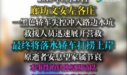 文安网友爆料新闻最新情况,最新事件进展揭秘
