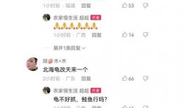 二八事件新爆料视频完整版,完整版揭露惊人内幕