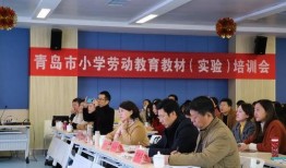 新闻爆料青岛最新消息视频,视频爆料揭示城市动态与热点事件