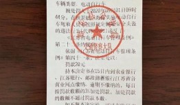 今日爆料茶叶,今日爆料带你领略茶界新风向