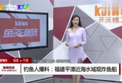 钓鱼爆料视频下载安装最新,最新钓鱼技术解析与防范攻略