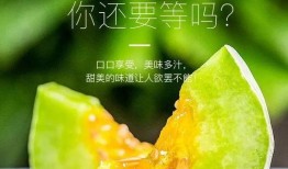 网红吃瓜照片全集,揭秘娱乐圈幕后故事