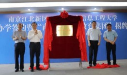 晨泉集团爆料最新消息,揭秘行业变革背后的惊人内幕