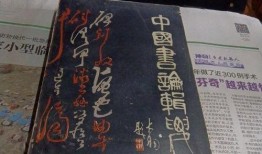 温州探店爆料视频大全,热门美食攻略大盘点