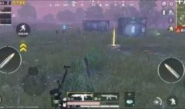 和平爆料最新,揭秘最新热点事件背后的真相