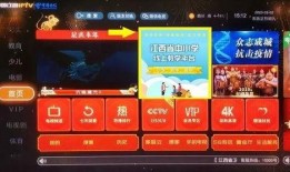 五月夺宝爆料视频在线观看,精彩瞬间抢先看