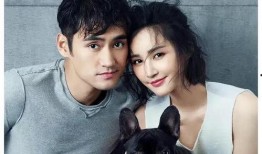 最近爆料娱乐圈情侣的明星