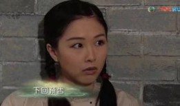 守业者在线观看,传承与挑战的在线传奇