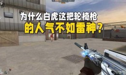 cf换皮白虎爆料视频,揭秘游戏内幕与神秘新角色