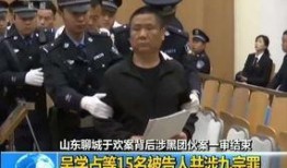 吴学占案最新爆料,揭秘巨额诈骗背后的惊人内幕