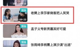 隔壁老樊直播爆料视频,独家爆料背后的故事