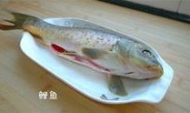 西北美食爆料视频播放大全,视频大全带你领略风味盛宴