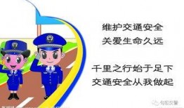 行车安全爆料视频大全集,揭秘行车安全爆料视频大全集