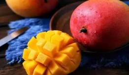 芒果老王爆料视频大全,视频大全精彩瞬间回顾