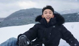 王青云最新爆料视频,事件背后惊人真相曝光