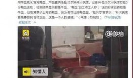 某火锅店爆料视频大全集,揭秘行业幕后真相