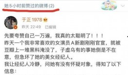 于正爆料圈内秘剧有哪些,于正爆料那些鲜为人知的秘剧内幕