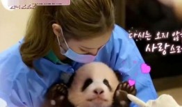 网友爆料奇奇事件视频,网友热议背后的真相揭秘