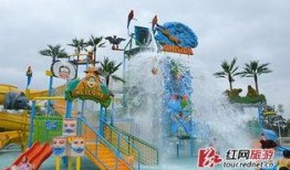 水寨新闻爆料视频大全,视频大全精彩回顾