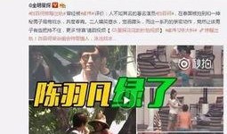 29年前娱乐爆料事件视频,视频曝光背后的真相与争议