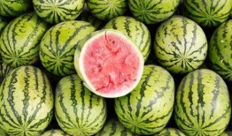 qq网红吃瓜爆料,QQ吃瓜爆料背后的真相