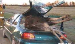 车祸现场爆料新闻,多车相撞引发交通瘫痪