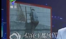 爆料视频今日关注,揭秘爆料视频背后的真相与影响