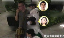 网友爆料奇奇事件视频,网友热议背后的真相揭秘