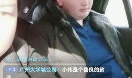 杨鸣前教练的爆料视频,独家爆料视频曝光