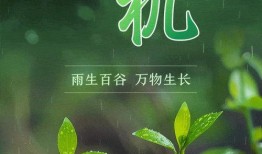 万物生长在线观看,在线观看，探索生命奥秘之旅