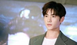 杨洋肖战圈内人爆料,揭秘娱乐圈不为人知的幕后故事