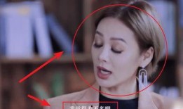 宁静采访爆料视频大全集,揭秘娱乐圈幕后故事与心路历程