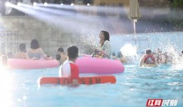 水寨新闻爆料视频大全,视频大全精彩回顾