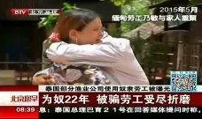 折磨在线观看,揭秘惊悚悬疑的虚拟世界