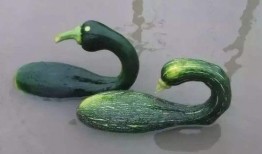 甘肃吃瓜网红是谁啊视频,揭秘当地网红现象