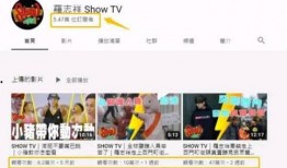 视频收入爆料,揭秘网红经济背后的惊人数据与趋势