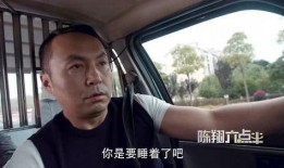 司机大佬爆料视频大全下载,真实事件背后的故事