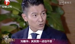 娱乐大爆料刘德华视频,揭秘巨星背后的故事与精彩瞬间