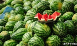 太原市网红吃小瓜的店叫什么,小瓜美食店探秘