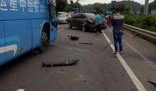 车祸现场爆料新闻,多车相撞引发交通瘫痪