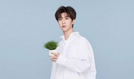 白鹿范丞丞圈内爆料,揭秘娱乐圈背后的真相