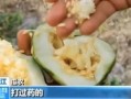 平邑吃瓜最新事件爆料,揭秘背后惊人真相，网络热议持续升温