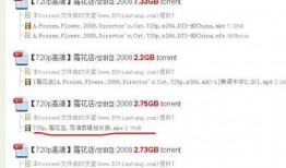 霜花店无删减在线观看,全版揭秘，无删减剧情深度解析