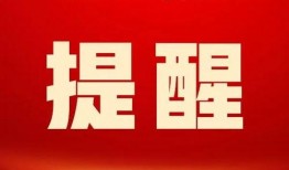 广东官方爆料新闻最新,重大事件引发社会关注