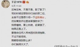 圈内爆料于正的作文,圈内爆料作文深度解析