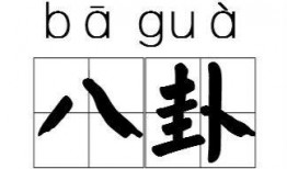 娱乐圈爆料八卦小道消息,明星背后的惊人真相与幕后故事