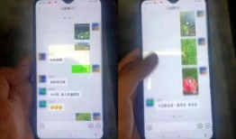 吃瓜微信免费分享,吃瓜微信免费分享，带你畅游娱乐资讯海洋！