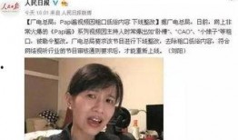 娱乐吃瓜酱侵权视频大全,版权争议背后的娱乐江湖