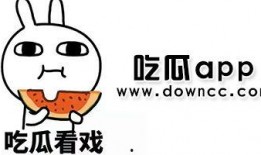 网红坐等吃瓜,坐等吃瓜，娱乐至死？